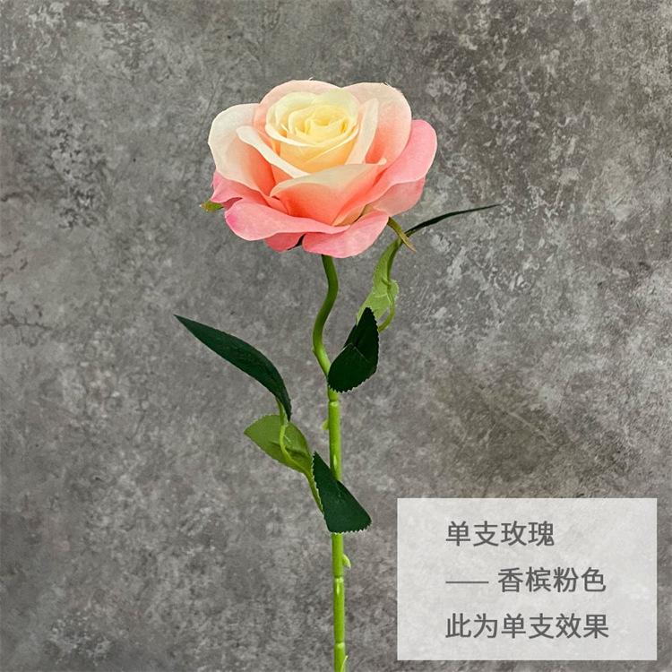 单支玫瑰-香槟粉色.jpg