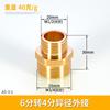 Conector de Tubo de Entrada de Agua Roscado de Latón de 4 Puntos Doble Rosca Externa Conexión Directa a 6 Puntos Rosca Corta de 1 Pulgada Accesorios