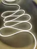 Luces de Neón LED Modificadas Personalizadas para Fabricantes 12V6 * 12mm2835120 Lámpara de Neón Modificada con Alto Brillo