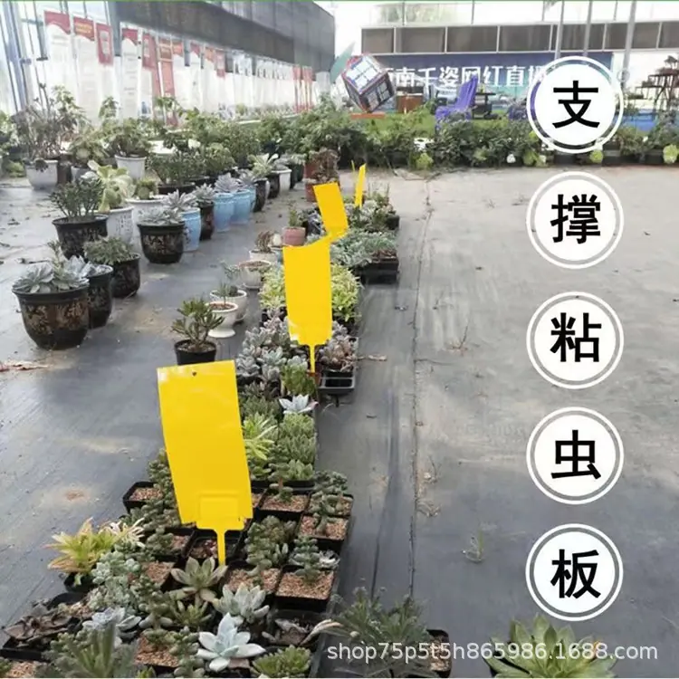 粘虫板支架5.jpg