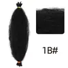 Cabelo Trançado African Dreadlocks 12 polegadas 16 polegadas Rasgado à Mão Cabelo Enrolado de Lagarta Enrolado African Curl Twist