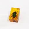 Nuevo Libro de Insectos Ámbar Pueblo Insecto Verdadero Escorpión Adornos de Escritorio Resina Artesanías Transparentes HD Ayudas Didácticas para Niños