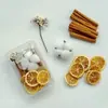 Paquete de Materiales Hechos a Mano para Bricolaje Flores Mixtas Plantas Flores Secas Piñas de Navidad Estilo Bosque para Jardín de Infancia Creación Ambiental Decoración