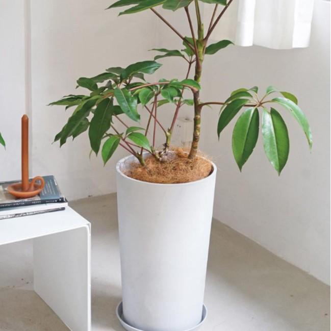 2025-09-10 15:03:31.jpg