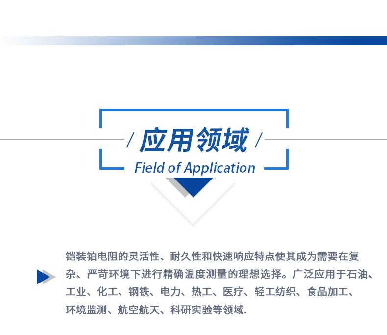 高端装配式铂电阻-详情页1_08.jpg