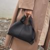 Marca Francesa de Nicho Polene Bolso Nube Bolso Dumpling 2024 Modelo Nuevo Venta Caliente Transfronteriza Lonchera Bolso de Mano Moda Callejera