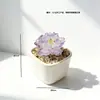 Maceta de Flor de Peonía de Vidrio Zibo Planta Flor de Vidrio Artificial Regalo del Día de la Madre Decoración de Escritorio Coche Artesanía