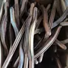 Barraca de Rua de Mercado Noturno com Pequenos Defeitos em Estoque, Palito de Madeira de Asa de Frango com Tendão, Palito de Massagem e Raspagem