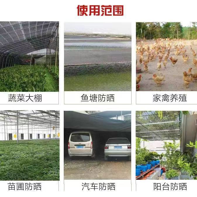 微信图片_20240319145221