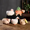 Maceta de Cerámica Creativa de Animales de Dibujos Animados para Suculentas, Arcilla Especial para el Hogar, Cerámica Gruesa, Maceta con Control de Raíces, Liquidación Especial al por Mayor