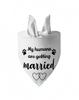 AliExpress em estoque especial transfronteiriço para Amazon Explosions Wedding Pet Triangle Scarf Dog Triangle Scarf
