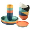 Conjunto de 16 Peças, Conjunto de 32 Peças Conjunto de Louças de Mesa de Plástico de Palha de Trigo para Cozinha, Tigelas, Pratos e Copos Inquebráveis, Adequado para Residências de Apartamento