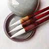 Entrenamiento de Clase de Caligrafía Fina y Escritura Regular Europea y China con Tinta y Elasticidad Total