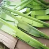 Colheitadeira de Trigo Modificada com Proteção de Lâmina Estendida, uma Ferramenta para Colher Trigo Caído, uma Inimiga para Colheitas Caídas, Especificamente Projetada para Colher Trigo Caído e Outras Culturas
