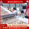 Secador con Correa de Malla para Rebanar Konjac, Línea de Producción para Secado y Molienda en Polvo de Tiras de Patata Fantasma Konjac, Máquina Grande para Hornear Rodajas de Konjac