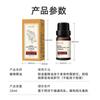 Processamento de Óleo Essencial de Folha de Platycladus Caneca Personalizada Composto de Óleo Essencial de Artemísia Gengibre 10ml Salão de Beleza Óleo Essencial para Massagem Fabricante Atacado