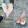 2025 Nuevo Fabricante de Flores Artificiales Rosas Rosa Claro Rosa Hortensia Peonía Guía de Camino de Boda Flores Artificiales al por Mayor