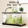 Pecera Pequeña Sala de Estar Paisaje Ecológico Plástico Transparente Pecera para Peces Dorados Filtro Oxigenador Máquina Todo en Uno Pecera de Escritorio con Tapa