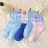 Cinco Pares de Meias de Cachorro Canela para Mulheres Estilo Japonês Desenho Animado Algodão Penteado Azul Meia Cano Alto Meias de Cano Médio Prontas Meias Sanrio
