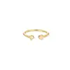 Anillo de Cola de Cumpleaños Abierto de Acero Inoxidable Chapado en Oro de 18K con Piedra de Nacimiento, Anillo Fino de Moda Ins Europeo y Americano, Simple, Lujo Ligero