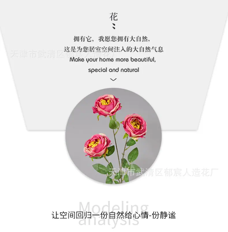 详情_06.png