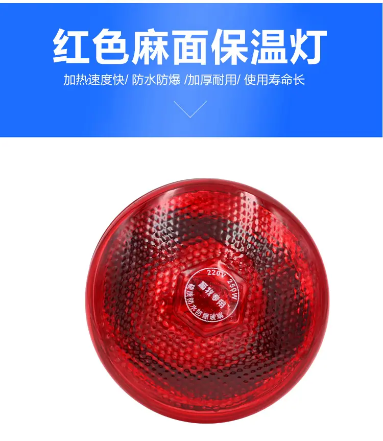 保温灯展示_16