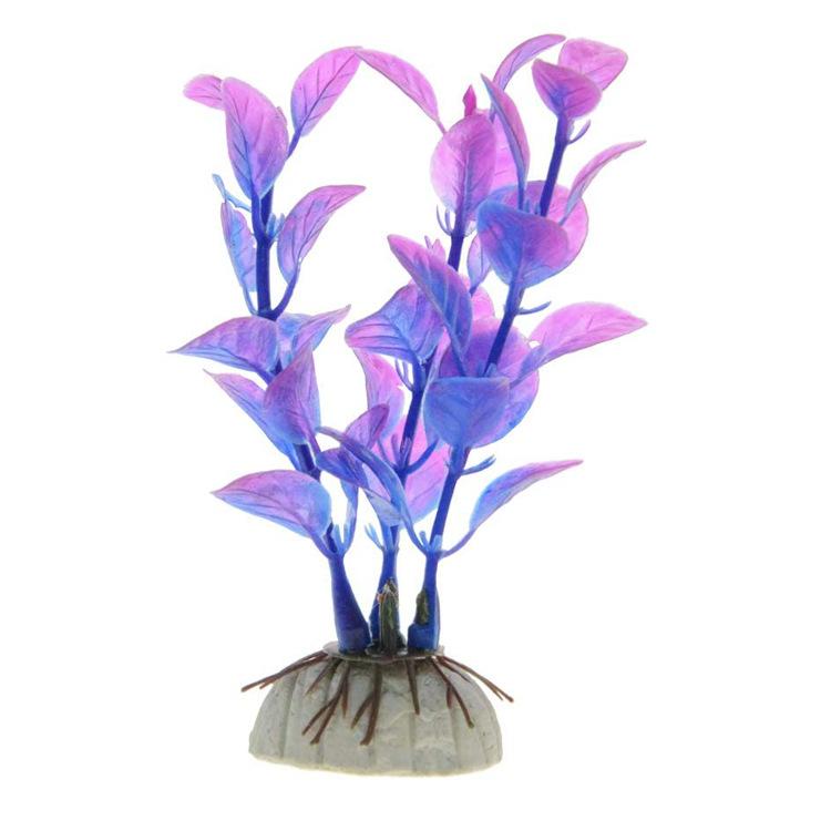 51GBnPgp9rL._AC_SL1000_