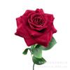 Flor Artificial rosa roja rosa cascada rosa glaciar rosa pared de fondo celebridad de Internet pared de flores de rosas arreglo floral