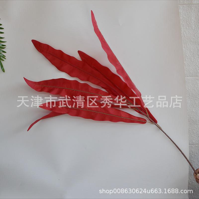 鸟巢叶红色