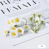 Ramo de Crisantemos Pequeños Arrugados Estilo Bosque Transfronterizo Flor Artificial DIY Material para Tocado de Flor Artificial 5 Accesorios de Guirnalda de Margaritas Pequeñas