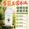 Solução Nutricional Especial para Orquídeas para Botão, Brotação de Brotos, Elemento Rei para Floração, Enraizamento de Múltiplos Brotos, Indutor de Brotos, Solúvel em Água, Não Requer Diluição