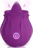 Vibrador de caballero sarga palo de masaje vibrador bala recargable vibrador de onda Messenger dispositivo de masturbación femenina