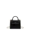 Bolsa Kelly de Acrílico para Comutador de Comércio Exterior para Mulheres 2026 Nova Moda de Alto Padrão Bolsa Transversal Versátil com Corrente para Mulheres