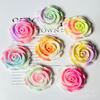 Horquilla para el pelo con diseño de rosa perla floreciente de dos colores luminoso de 33 mm, accesorios de resina para bricolaje, crema de pegamento para teléfono