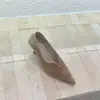 2 cm - Zapatos de tacón alto de terciopelo suave estilo francés con punta fina y escote en V para mujer, simples y elegantes para ir al trabajo, zapatos de tacón bajo estilizados y modernos