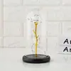 Lámpara de Vidrio con Flor Eterna Rosa Artificial Flor Artificial Regalo Creativo Adornos Tanabata Día de San Valentín Regalo de Navidad Al por Mayor
