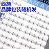 Cuatro Grandes Bellezas: Diao Chan, Xi Shi, Zhao Jun, Yu Huan - Pestañas Inferiores al por Mayor de Fabricantes, Pestañas Postizas de Venta Caliente