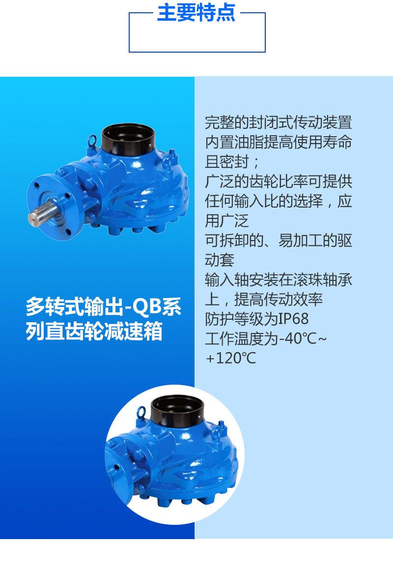DZW-B齿-详情页_03.jpg