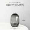 Planta Hidropónica Monstera, Planta Verde Todo el Año, Planta en Maceta de Cultivo en Agua para Interiores, Bambú de Hoja Grande para Sala de Estar, Oficina, Escritorio