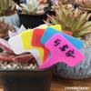 Etiquetas para Suculentas, Etiquetas Pequenas Coloridas para Vasos de Plantas Verdes, Etiquetas em T para Flores Bonsai à Prova d'Água Inseridas no Solo