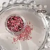 Lantejoulas para Nail Art Atacado Outono e Inverno Novo Bronze Maillard Flash 1mm Ultra-Fino Bolinhas Adesivo Decoração de Unha