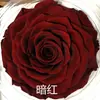 Rosa Eterna Gigante de 10-12 cm Rosa Preservada Flor Eterna Navidad Tanabata Día de San Valentín Regalo de Cumpleaños