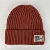 Gorro de Punto con Forro de Lana para Otoño e Invierno para Mujer, Gorro de Esquí Versátil de Estilo Japonés para Circunferencia de Cabeza Grande, Gorro de Lana Grueso Cálido de Moda a Prueba de Frío