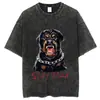 2025 Nuevo Modelo Comercio Exterior Marca Independiente Holgada y Cómoda Retro Y2K Anime Unisex Camiseta Lavada Adulto Camiseta Corta