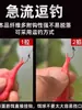 Cebo de corriente sin enjuague con olor fuerte a pescado para pesca silvestre, micro-pesca y peces pequeños como trucha, bagre y lubina. Cebo especializado para la pesca de peces pequeños