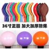 Globos Extra Grandes de 36 pulgadas Engrosados Perfectamente Redondos Mate Globos de Látex Macaron Venta de Parque Globos que Explotan para Niños