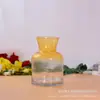 Vaso de Vidrio de Sodio-Calcio Transfronterizo al por Mayor Florero de Vidrio Simple Estilo Europeo Plantas Hidropónicas Flores Secas Florero de Flores Frescas Decoración
