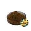 Extracto de Osmanthus 10:1 Polvo de Osmanthus Soluble en Agua Materia Prima de Grado Alimenticio Polvo Concentrado de Osmanthus para Bebidas Sólidas En Stock