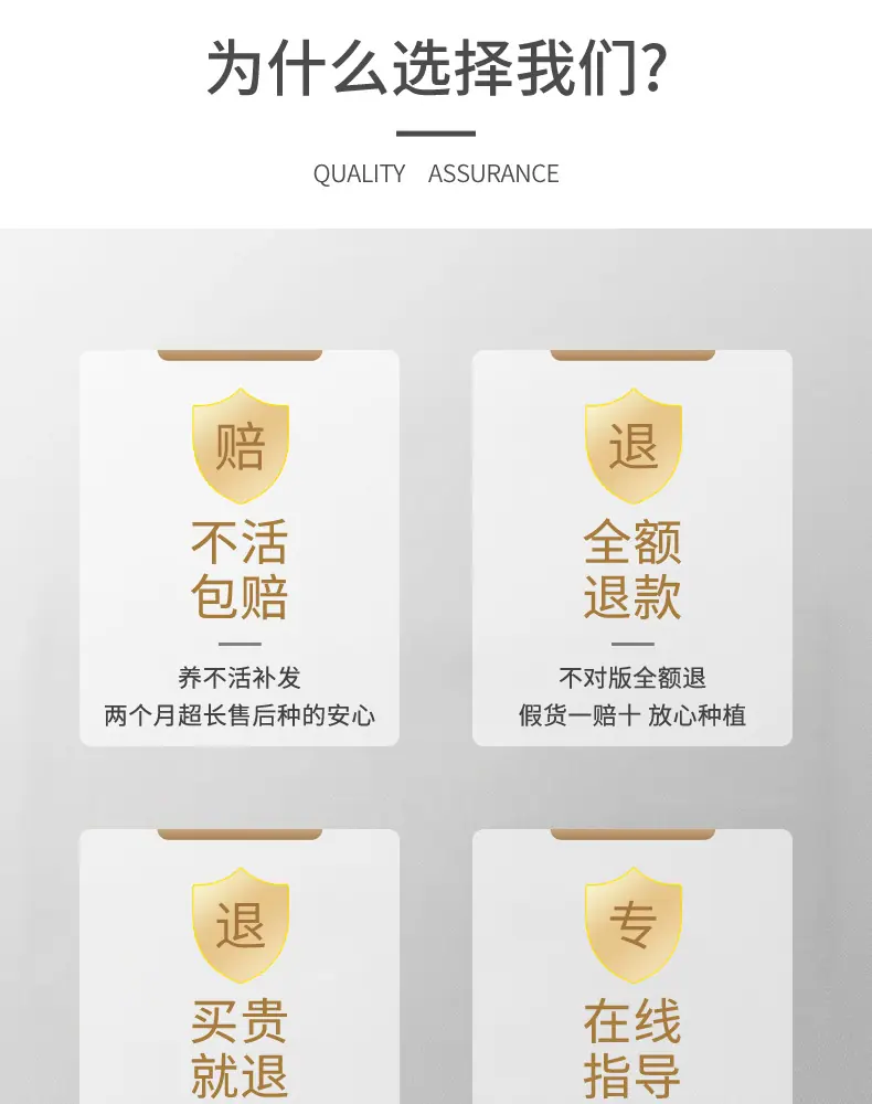 详情图片_04