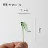 Artesanato Requintado Tulipa Vidro Flor Pura Feito à Mão Arranjo de Flores Artificiais Flor Preservada Arte Criativa Ornamento de Mesa